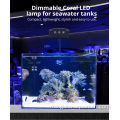 Air masin diterajui akuarium tangki ikan ringan LED